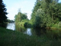 foto/fotoalba/10479/4210/x-chytej.cz-10479-00031988.jpg
