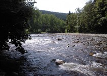 foto/fotoalba/10642/4199/x-chytej.cz-10642-00031842.jpg