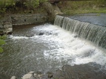 foto/fotoalba/10642/4199/x-chytej.cz-10642-00031846.jpg