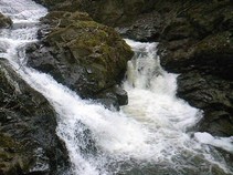 foto/fotoalba/10642/4199/x-chytej.cz-10642-00031847.jpg