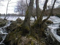 foto/fotoalba/10642/4199/x-chytej.cz-10642-00031850.jpg