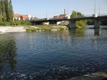 foto/fotoalba/10642/4199/x-chytej.cz-10642-00031852.jpg