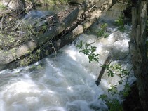 foto/fotoalba/10642/4199/x-chytej.cz-10642-00031858.jpg
