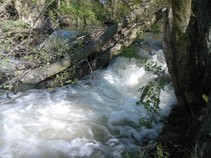 foto/fotoalba/10642/4199/x-chytej.cz-10642-00031862.jpg