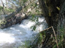 foto/fotoalba/10642/4199/x-chytej.cz-10642-00031863.jpg
