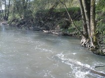 foto/fotoalba/10642/4199/x-chytej.cz-10642-00031864.jpg