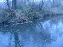foto/fotoalba/10642/4199/x-chytej.cz-10642-00031866.jpg