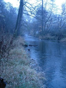 foto/fotoalba/10642/4199/x-chytej.cz-10642-00031867.jpg