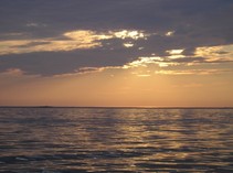 foto/fotoalba/10779/4896/x-chytej.cz-10779-00038494.jpg