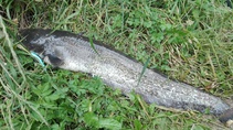 foto/fotoalba/11105/6754/x-chytej.cz-11105-69765.jpg