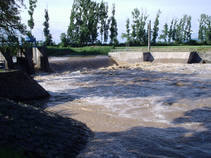 foto/fotoalba/11112/6380/chytej.cz-11112-50677.jpg
