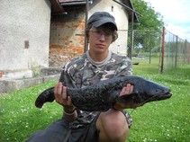 foto/fotoalba/11892/4702/x-chytej.cz-11892-00037060.jpg