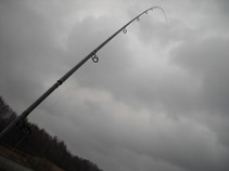 foto/fotoalba/11892/5604/x-chytej.cz-11892-00044563.jpg