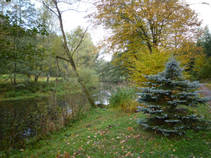 foto/fotoalba/12174/7657/x-chytej.cz-12174-65362.jpg