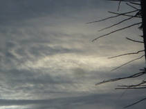 foto/fotoalba/12174/7657/x-chytej.cz-12174-65370.jpg