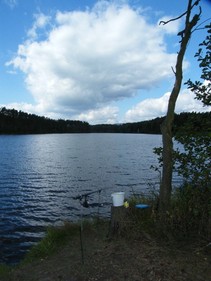 foto/fotoalba/12327/4893/x-chytej.cz-12327-00038841.jpg