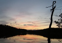 foto/fotoalba/12327/4893/x-chytej.cz-12327-00038844.jpg