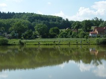 foto/fotoalba/12327/4922/x-chytej.cz-12327-00038901.jpg