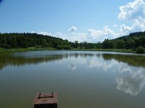 foto/fotoalba/12327/4922/x-chytej.cz-12327-00038922.jpg