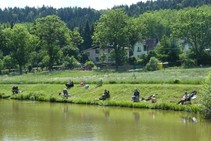 foto/fotoalba/12327/4922/x-chytej.cz-12327-00038929.jpg