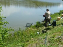 foto/fotoalba/12327/4922/x-chytej.cz-12327-00038934.jpg