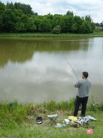 foto/fotoalba/12327/4922/x-chytej.cz-12327-00038969.jpg