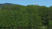 foto/fotoalba/12476/6643/x-chytej.cz-12476-53723.jpg