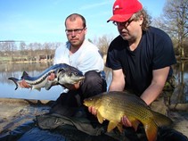 foto/fotoalba/12737/6038/x-chytej.cz-12737-00047002.jpg
