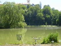 foto/fotoalba/12943/5572/x-chytej.cz-12943-00044311.jpg