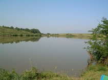 foto/fotoalba/13065/5298/x-chytej.cz-13065-00042348.jpg