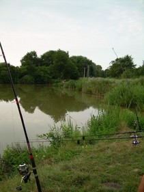 foto/fotoalba/13065/5298/x-chytej.cz-13065-00042352.jpg