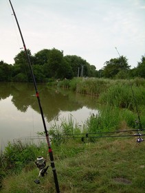 foto/fotoalba/13065/5298/x-chytej.cz-13065-00042353.jpg