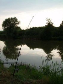 foto/fotoalba/13065/5298/x-chytej.cz-13065-00042355.jpg