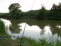 foto/fotoalba/13065/5298/x-chytej.cz-13065-00042356.jpg