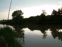 foto/fotoalba/13065/5298/x-chytej.cz-13065-00042358.jpg