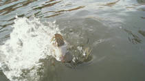foto/fotoalba/13155/6289/x-chytej.cz-13155-49593.jpg
