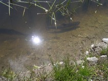 foto/fotoalba/13224/5254/x-chytej.cz-13224-00042005.jpg