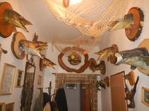 foto/fotoalba/13387/7690/x-chytej.cz-13387-65731.jpg