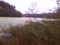 foto/fotoalba/13953/7284/x-chytej.cz-13953-60824.jpg