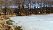 foto/fotoalba/14010/5554/chytej.cz-14010-00044075.jpg