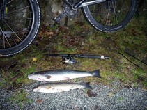 foto/fotoalba/14151/5598/x-chytej.cz-14151-00044731.jpg