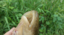 foto/fotoalba/14481/6627/x-chytej.cz-14481-53877.jpg