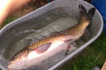 foto/fotoalba/15006/6486/x-chytej.cz-15006-51800.jpg