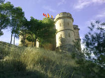 foto/fotoalba/15088/6941/x-chytej.cz-15088-56854.jpg