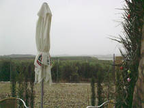 foto/fotoalba/15088/6941/x-chytej.cz-15088-56891.jpg