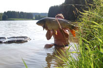 foto/fotoalba/15349/6399/x-chytej.cz-15349-50874.jpg