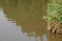 foto/fotoalba/15349/6399/x-chytej.cz-15349-50892.jpg