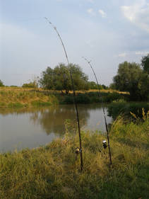 foto/fotoalba/15529/7375/x-chytej.cz-15529-62157.jpg