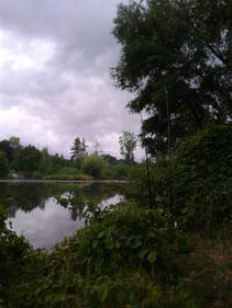 foto/fotoalba/15529/7375/x-chytej.cz-15529-62176.jpg