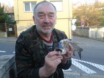 foto/fotoalba/15768/6609/x-chytej.cz-15768-62178.jpg